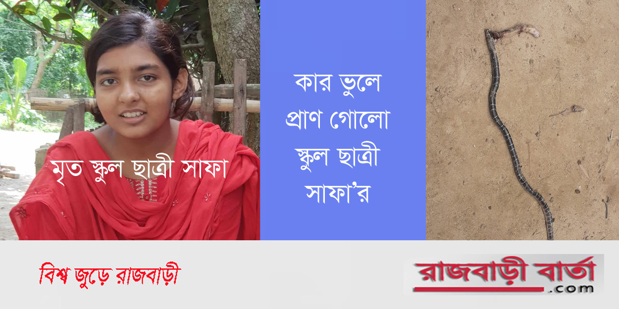 পাংশায় বিরল প্রজাতির সাপের কামড়ে স্কুল ছাত্রীর মৃত্যু, ভুল কার |