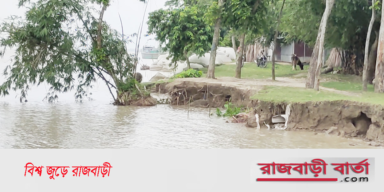 রাজবাড়ীর মিজানপুরে ৩ গ্রাম পদ্মার ভাঙ্গন হুমকি, নদী গর্ভে বিলীন গাছ পালা | রাজবাড়ীর মিজানপুরে ৩ গ্রাম পদ্মার ভাঙ্গন হুমকি, নদী গর্ভে বিলীন গাছ পালা |