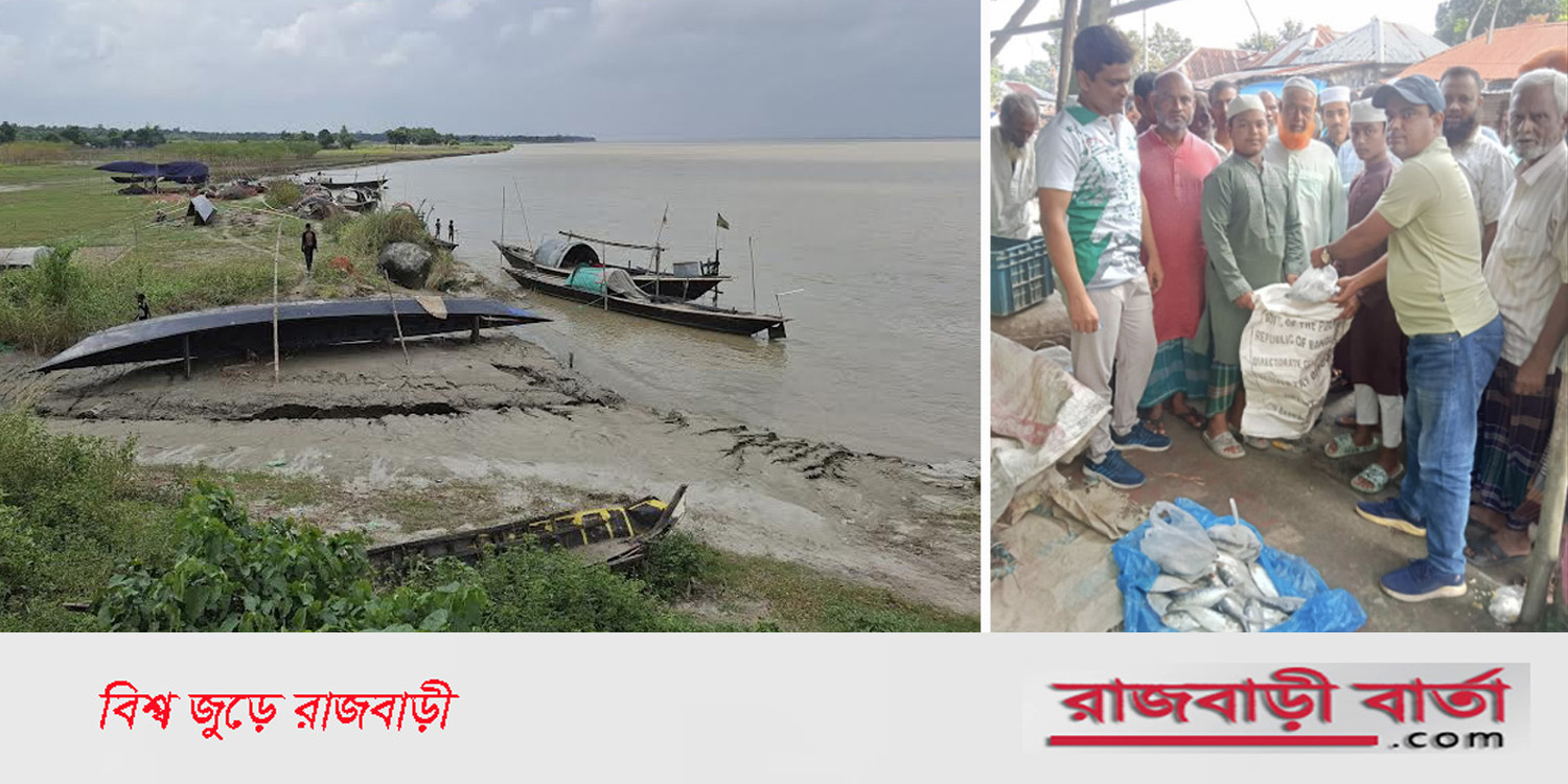 মা ইলিশ রক্ষায় রাজবাড়ীর পদ্মা নদীতে ২২ দিনের নিষেধাজ্ঞা শুরু, কারেন্টজাল উদ্ধার |